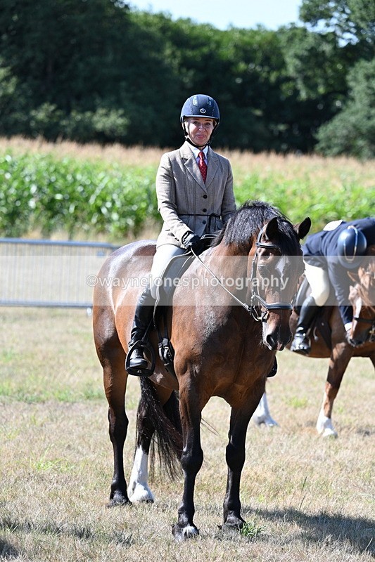 WJ7_3635 - Class 9 Mountain & Moorland Ridden