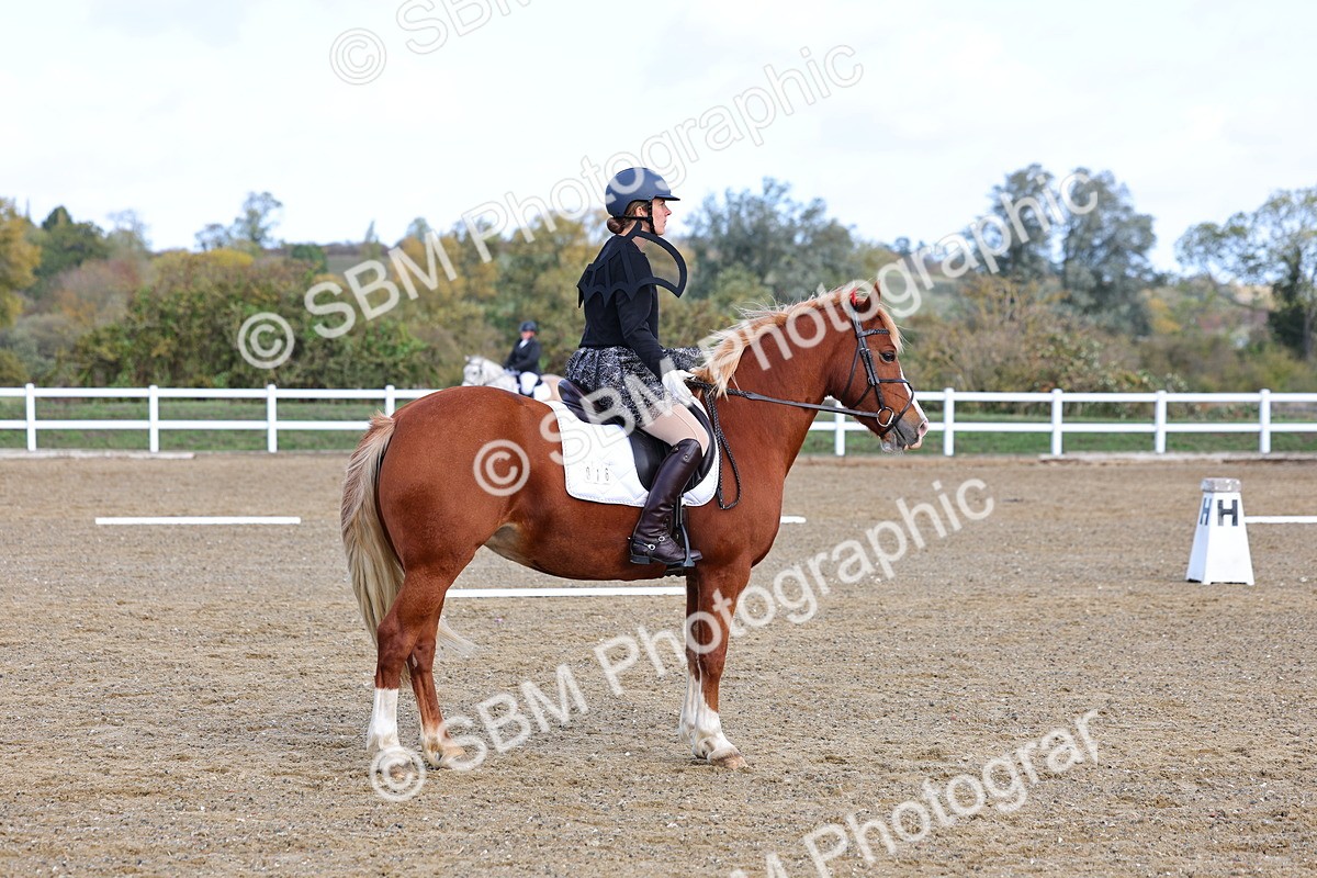 SBM_000995 - Class 5 - Prelim 1