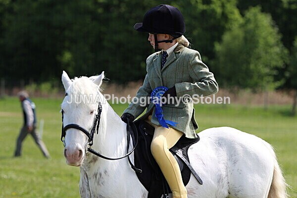 IMG_3464 - Working Hunter