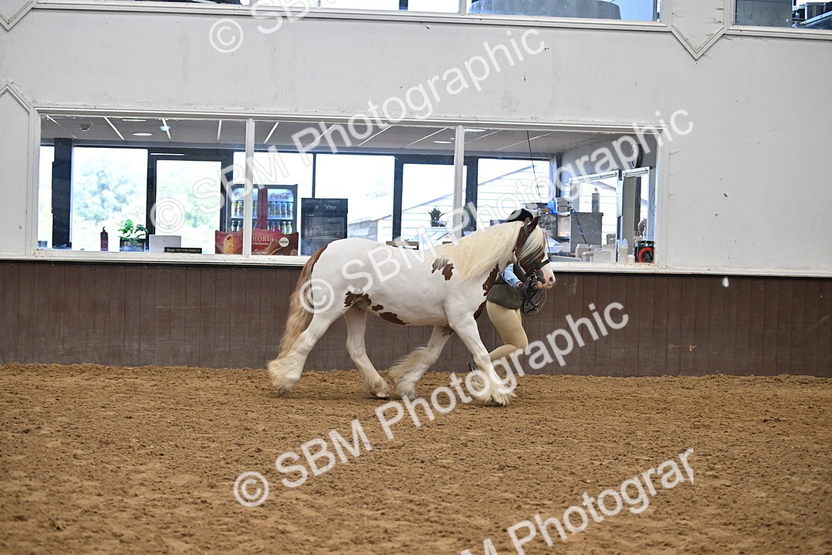 SBM_000272 - Class 10 - In Hand Coloured & Odd Coloured