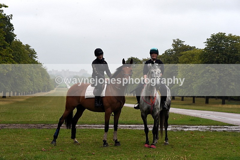 TT3_8145 - Time at Crossing 09:15 to 10:15