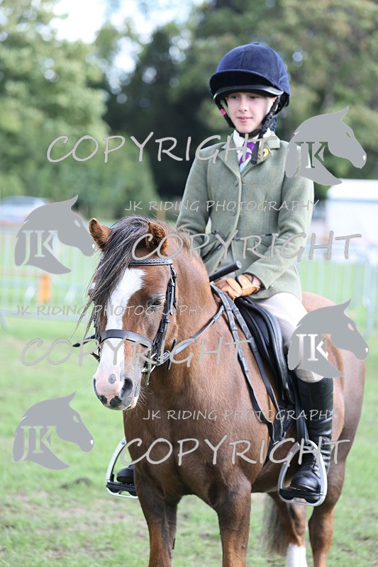 APP_4183 - Class 15a/b Pony club pony/Riding club horse