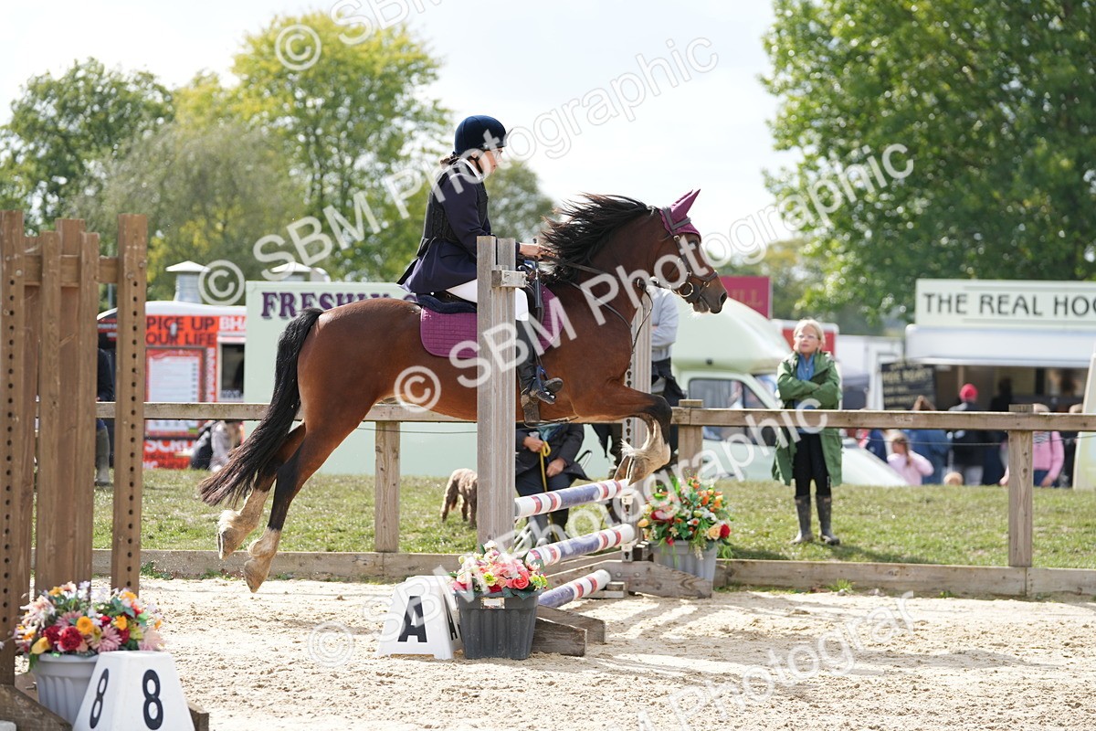 SBM_46977 - J7 - Junior Pony 60cm Championship