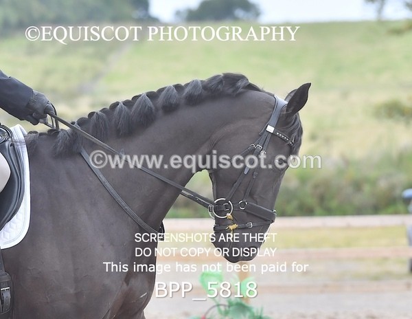 BPP_5818 - PRELIM TEST 5 LONG ARENA