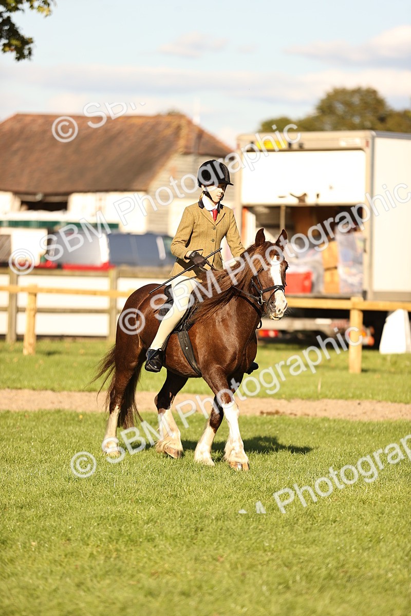 SBM_29390 - S7 - Novice & Newcomers Ridden Pony