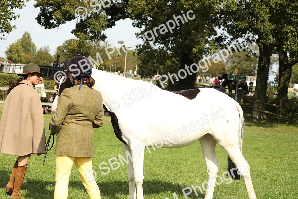 SBM_68626 - S40 - Junior Handler 9-12 Years