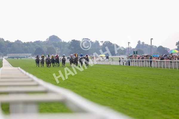 100923-Race 6-Anjo Bonita-3975 - Race 6 4.25pm Hanson Springs 60th Anniversary Handicap at York