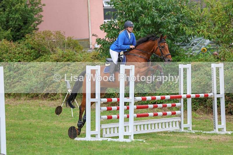 3E7A8149 - Class 7: Senior Newcomers/1.10m open