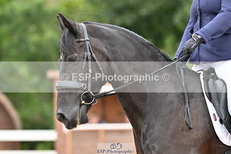 240817A-152847-10104 - 252-Alison.Andrews-Bercoed.Sambo