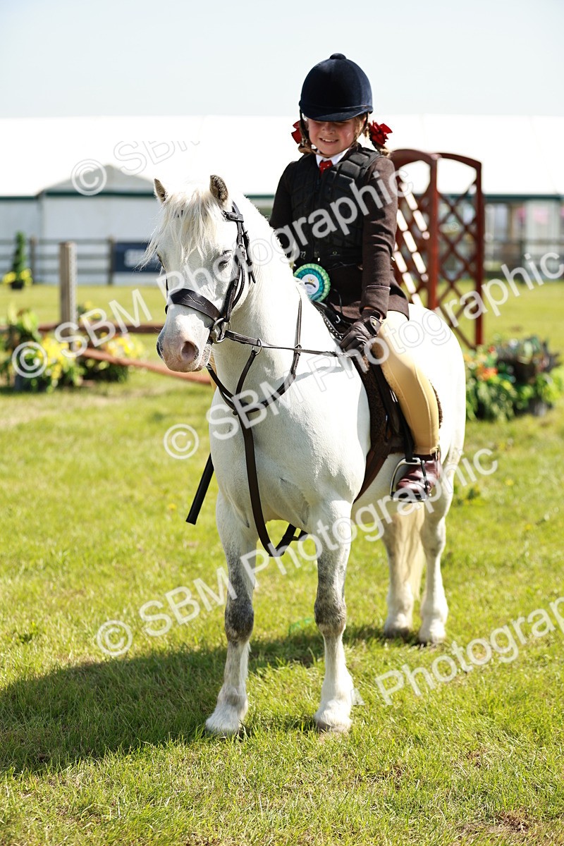 SBM_12826 - Class 106-107 - BSPS LIHS Working Sports Pony