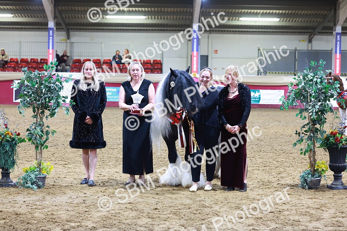 SBM_14926 - Class L - Coloured Champ
