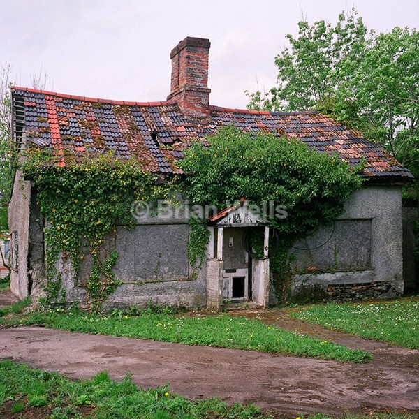 Saham Toney - Abode's