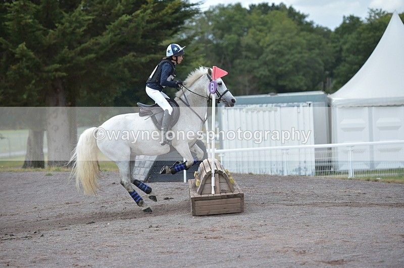 NGP_3384 - XC Time 11:59 to 12:15