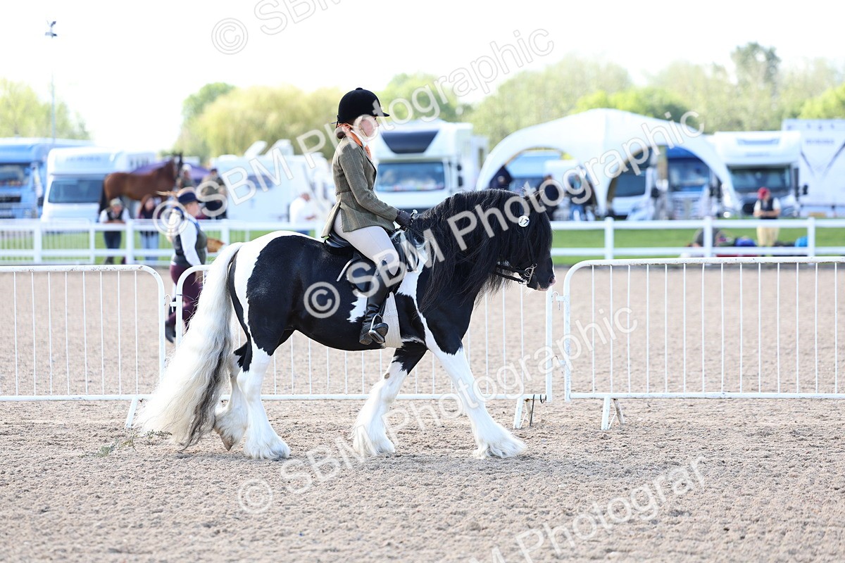 SBM_11355 - Class 307 - Ridden Coloured Pony