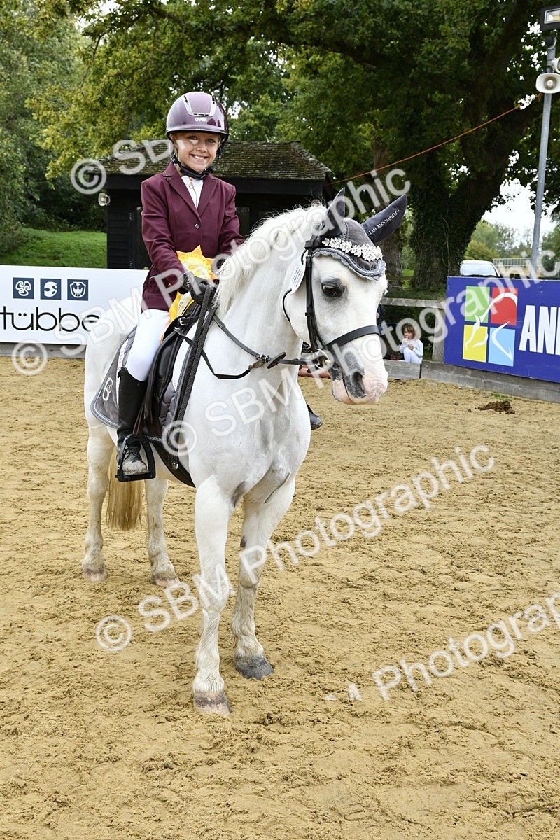 SBM_66204 - J2a mini Tour Junior Pony 30cm Championship