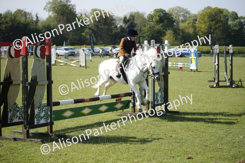 20250427-0432 - Class 12 - Rookie Jumping 40cm