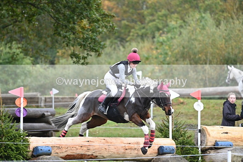 WJ6_2799 - 80cm Cam 1 Time 12:05 to 12:17