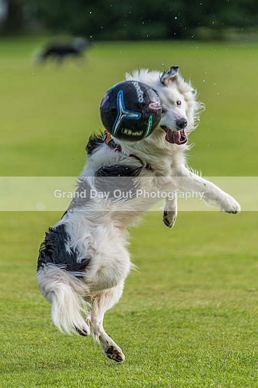 Round Latrigg-35 - Round Latrigg Fell Race Wednesday 12th June 2024