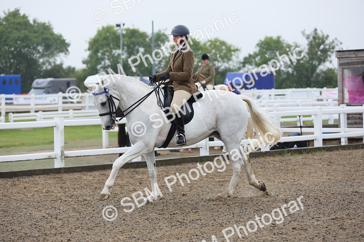 SBM_20023 - Class 802 - Ridden Groom - Helpers class