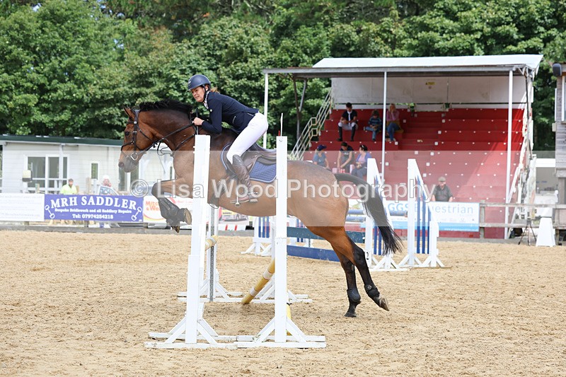 3E7A0070 - Class 9: Senior British Novice/90cm open