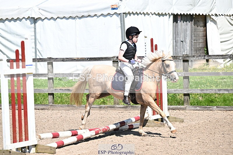 240729B-114323-02512 - Showjumping Competition