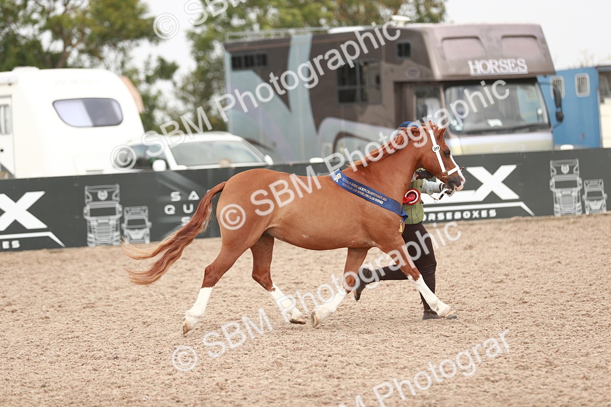 SBM_12569 - Class 207 IH M&M