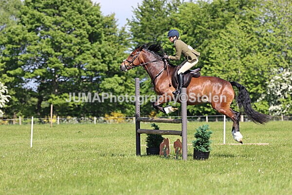 IMG_4705 - Working Hunter