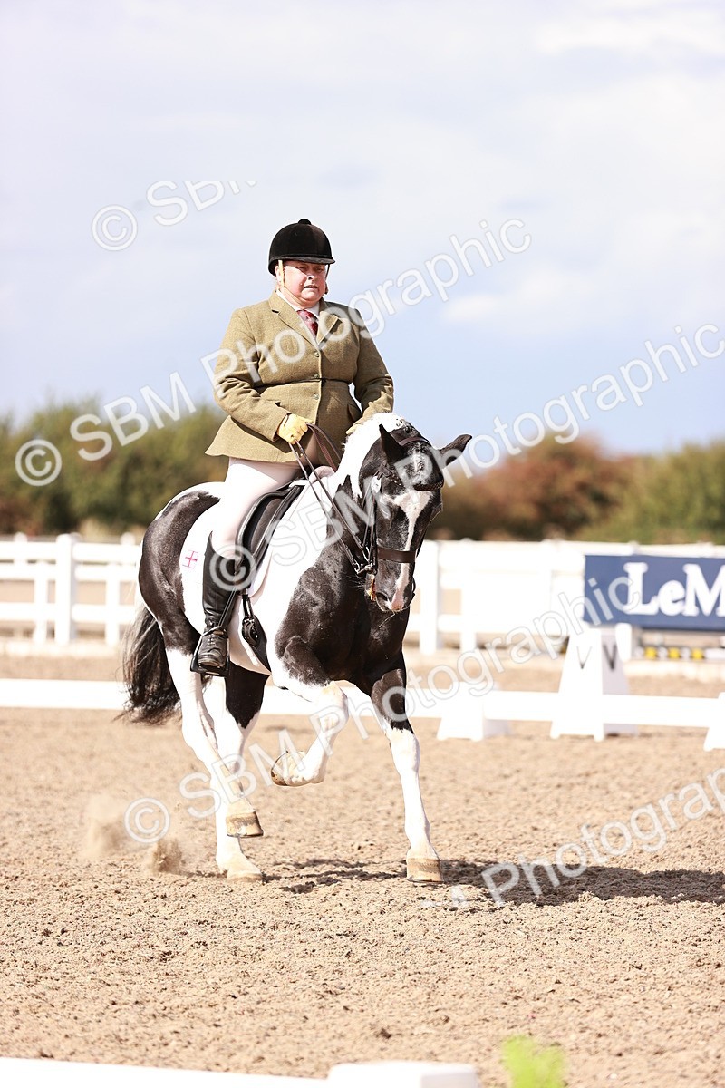 SBM_06615 - Class 39 - Medium 3