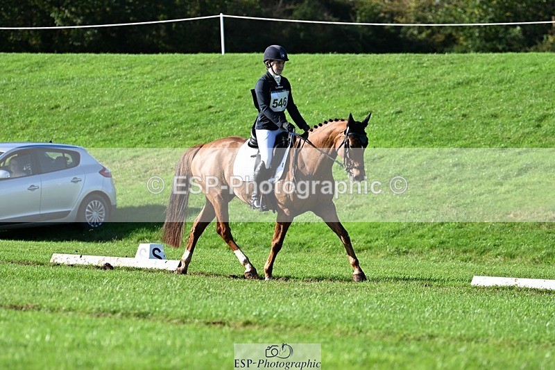 241025-112408-07132 - 546-Jennifer.Jaques-AURELIA.COOL