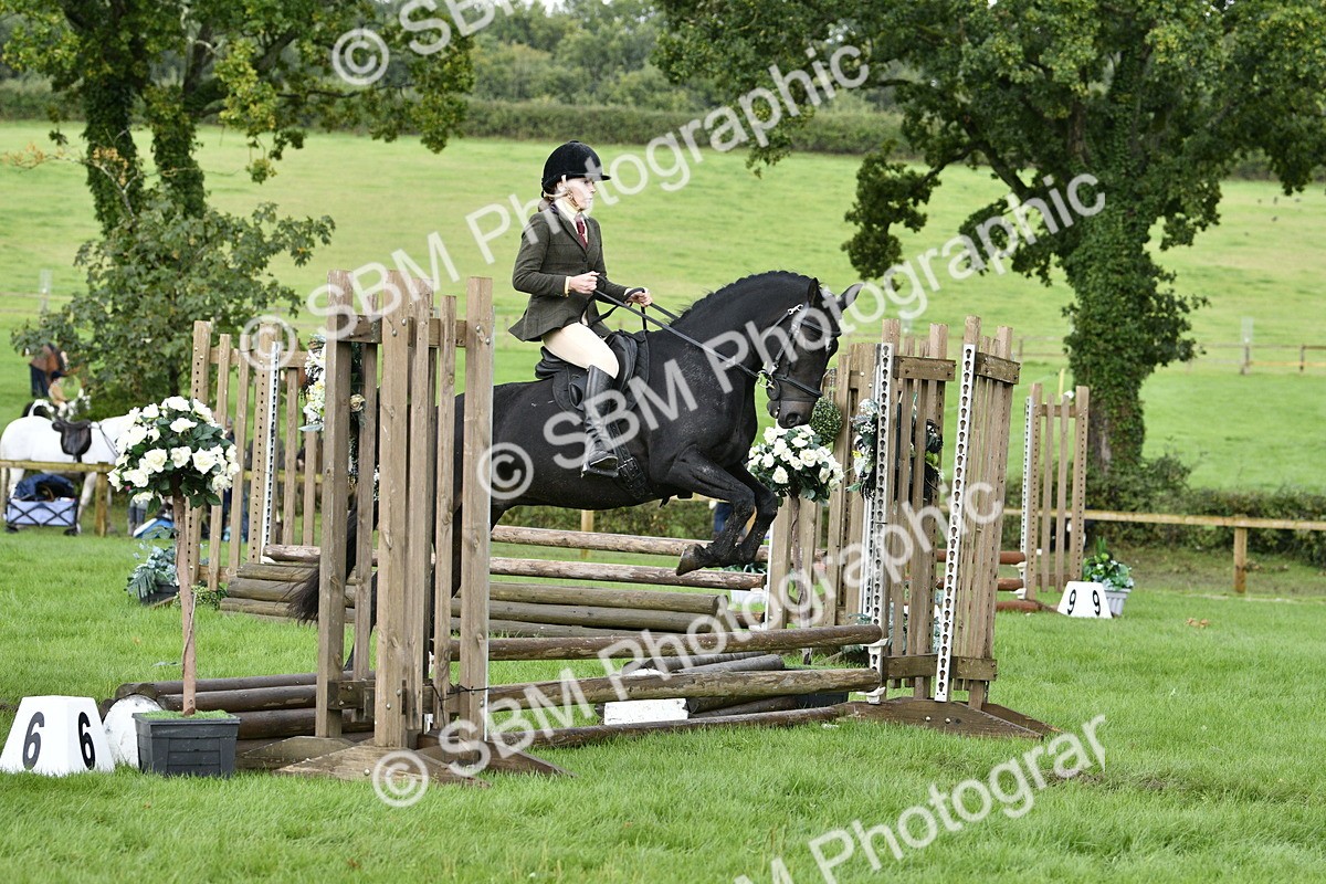 SBM_41509 - S32 - Mountain & Moorland Working Hunter Pony