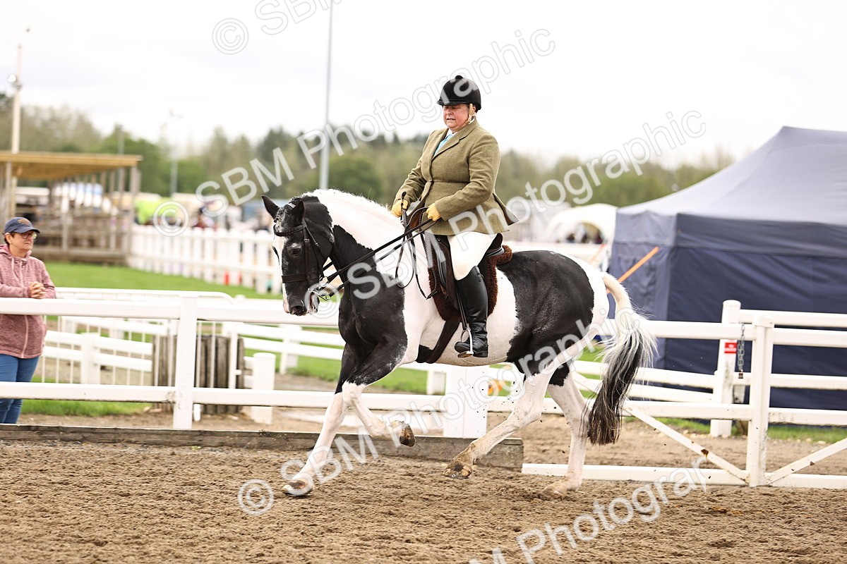 SBM_01374 - Class 54 - Riding Club Horse Pony