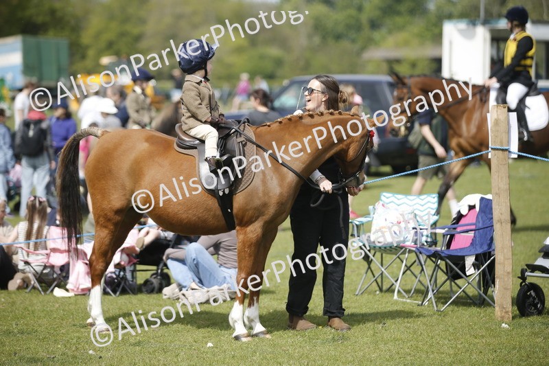 20260426-1835 - Class 7 - Pony Judge Would Most Like To Take Home