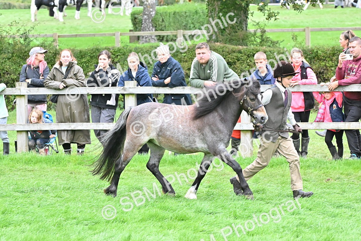 SBM_68553 - S42 - Junior Handler 9-12 Years