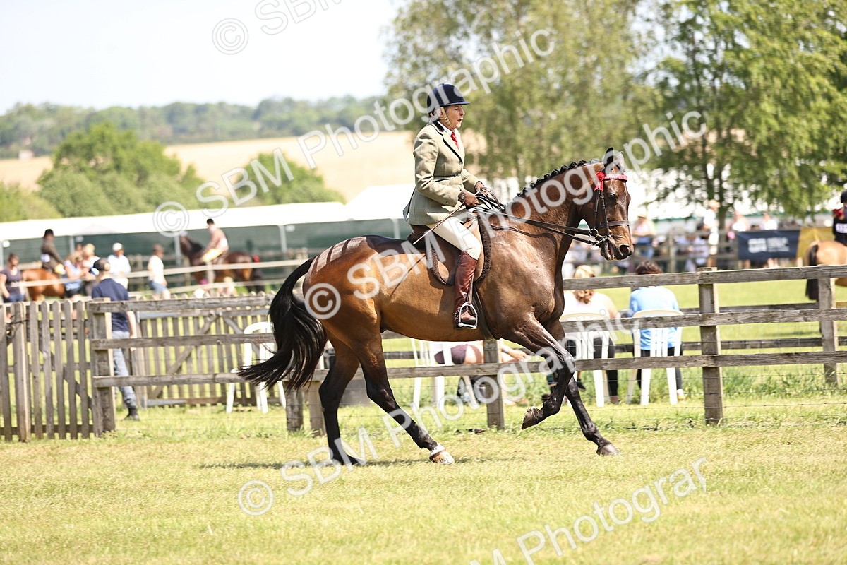 SBM_14881 - Class 78 - LIHS BSHA Open Racehorse & Show Horse