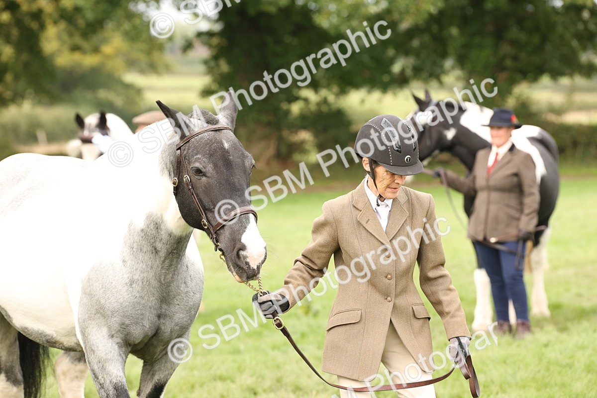 SBM_57519 - S56 - Show Cob in Hand
