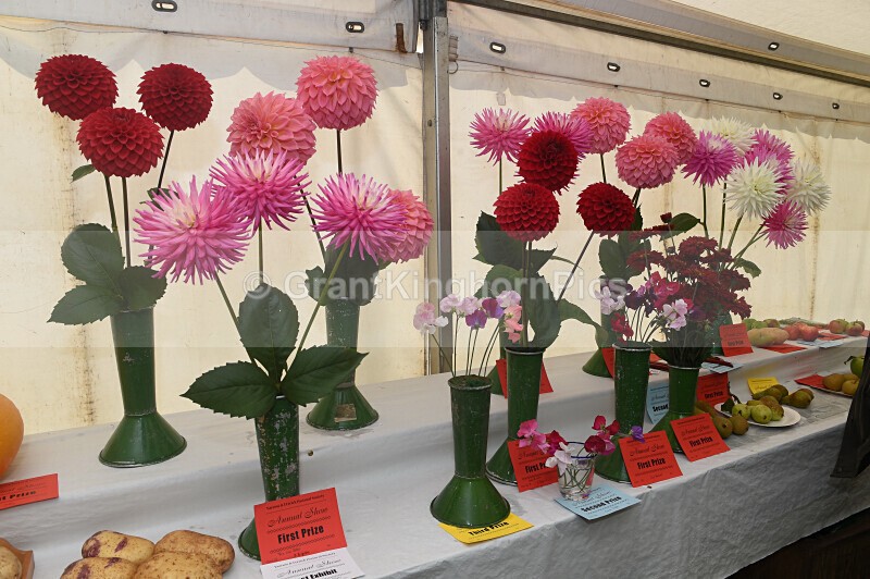 49 - Yarrow & Ettrick Pastoral Society Show 2026