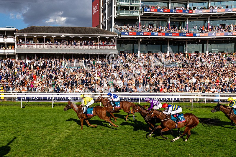 220826-Race 7-Raammee-0853 - Race 7 17.20pm Sky Bet Dav Reid Finale Handicap