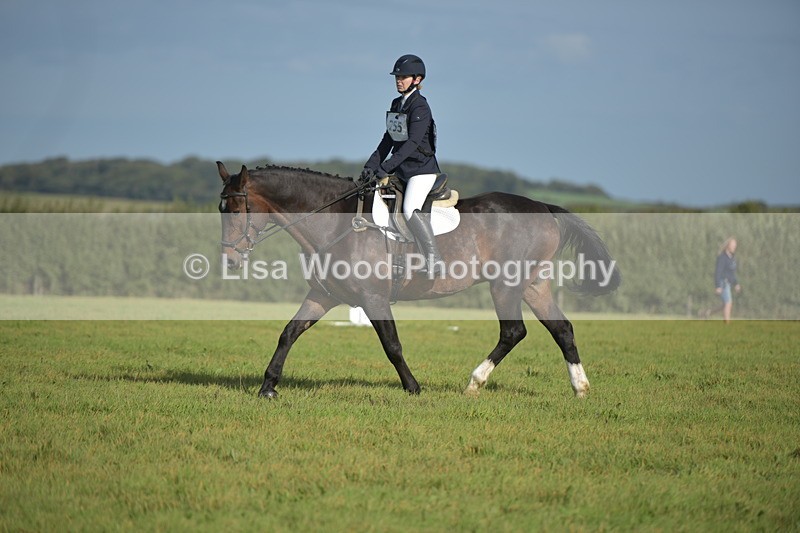 RAY_7470 - Class 2B: Trekenning Open: Dressage