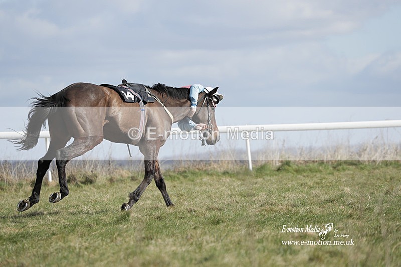 PtP 260223 502 - South & West Wilts Point-to-Point Larkhill 26/02/23
