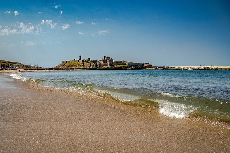 AW7C8829 - Land of Man