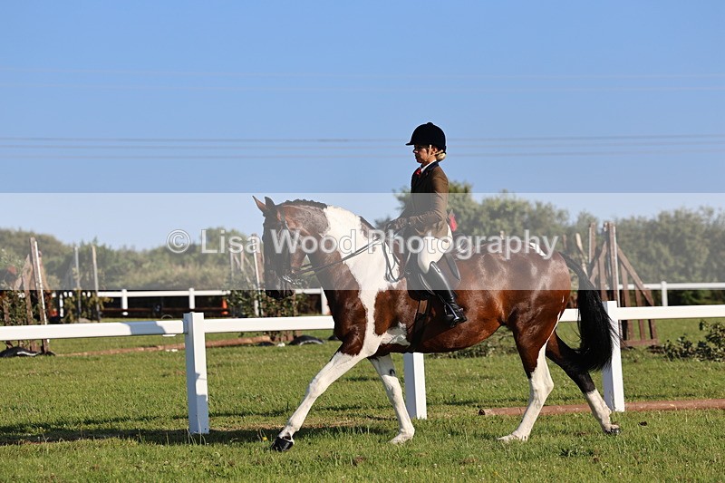 IMG_1240 - Class 27: Ridden Plaited Coloured Horse