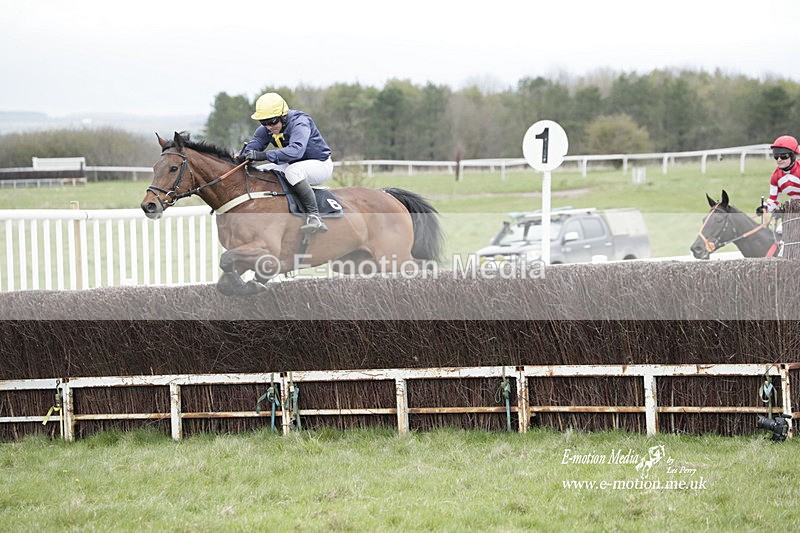 PtP 260323 0464 - New Forest Hounds Point-to-Point Larkhill 26/03/23
