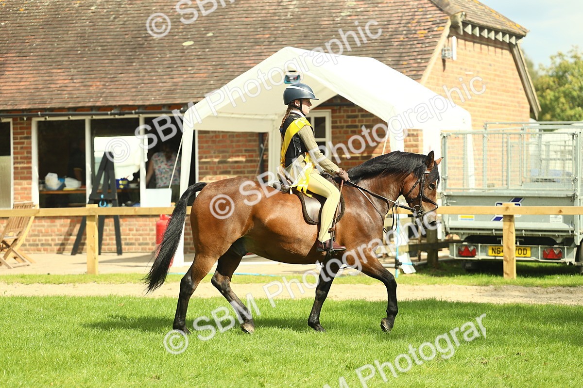 SBM_44897 - Working Hunter Pony Supreme Championship