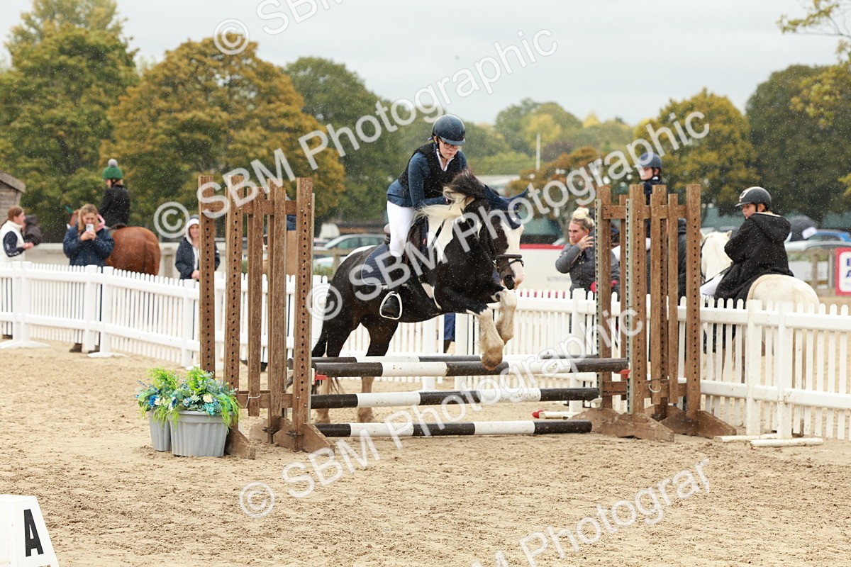 SBM_69145 - J13 - Junior Pony 60cm Championship