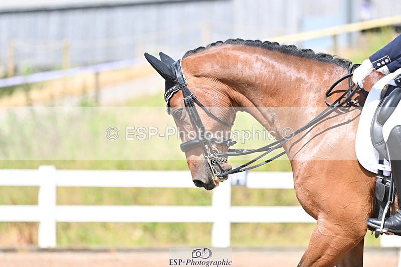 240622A-151638-12364 - Cls 35 BD Adv Medium 91