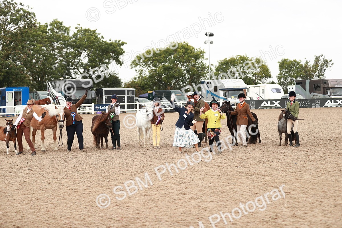 SBM_11942 - Class 206 IH Non Show Type Pony
