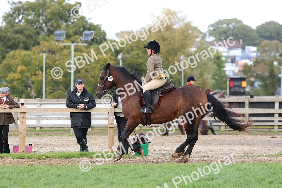 SBM_47688 - S28 - Veteran Ridden