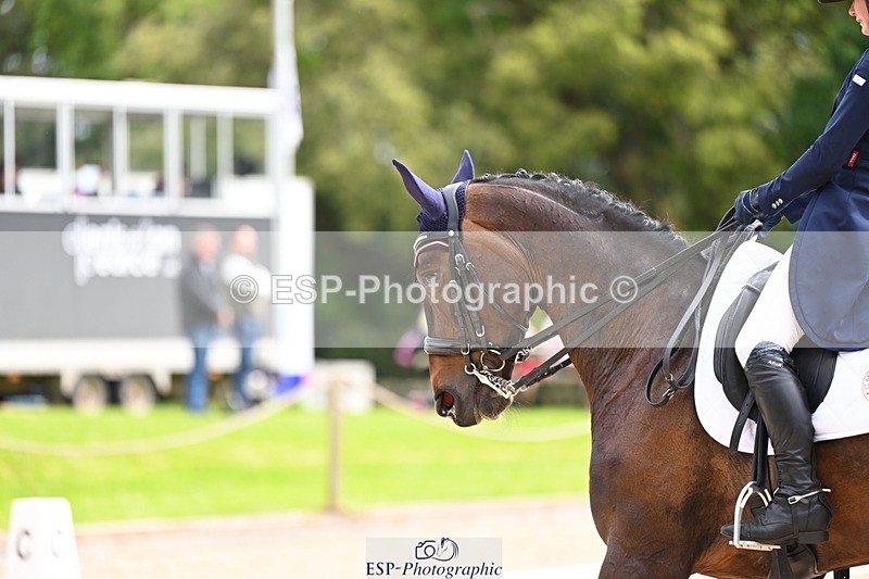 240524-103439-08160 - 513-WELLAN_GRAFFITI-Molly_Evans