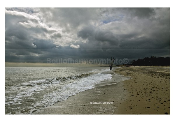  - Landscape