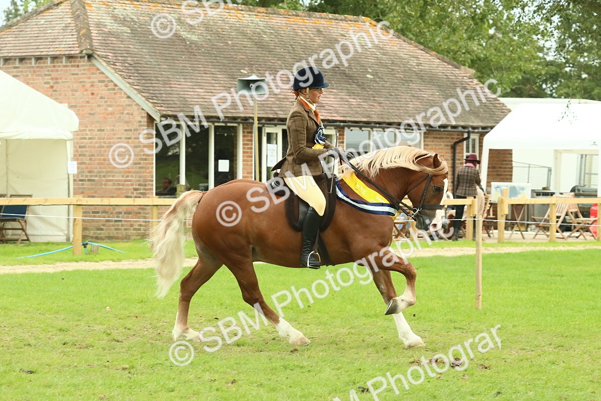 SBM_75170 - Super Supreme Championship